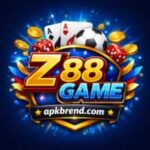Z88 Game
