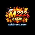 M222 Game