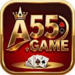 A55 Game