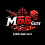 M66 Game