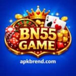 BN55 Game