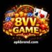 8VV Game