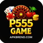 P555 Game