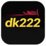 DK222 Game