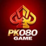 PK080 Game