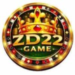ZD22 Game