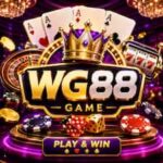 WG 88 Game